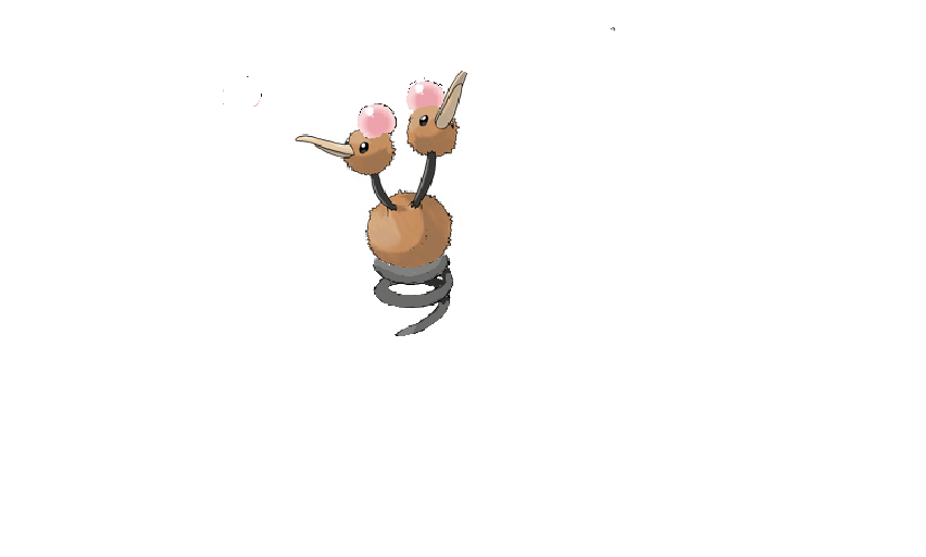 Doduo Learns How to Float 