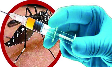 Dengue vaccine