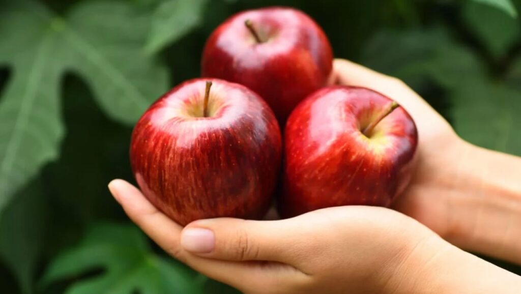 Crisp Apples – Nature's Bite Of Joy