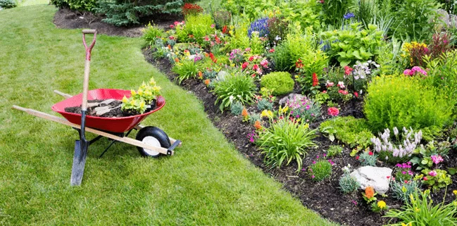 You are currently viewing Top 10 Must-Have Garden Appliances