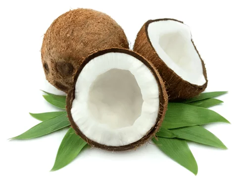 Coconut-lose weight
