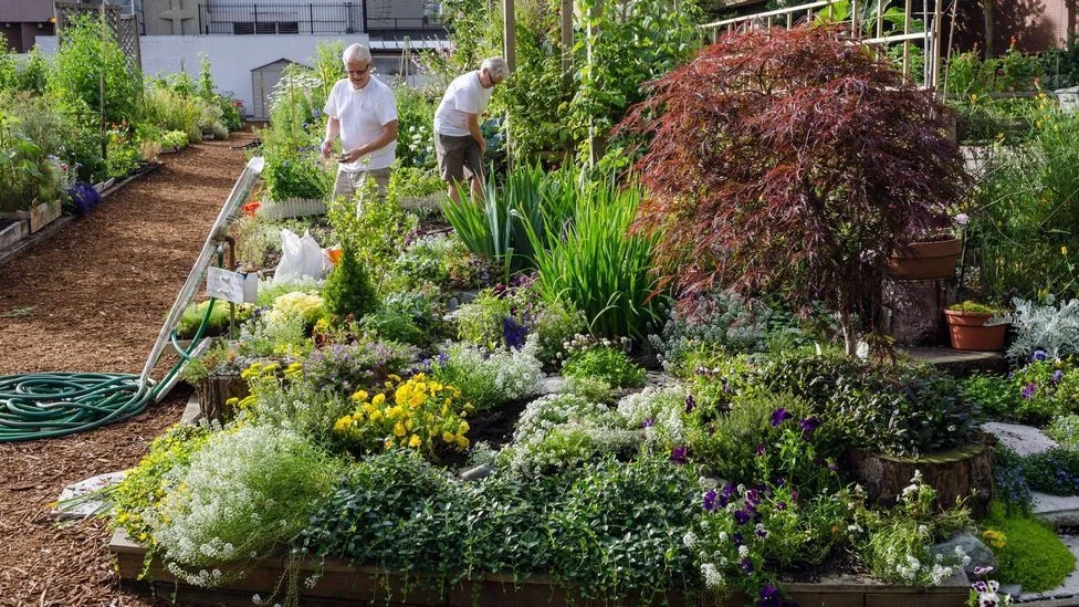 You are currently viewing The 10 Reasons Why Home Gardens are Hot