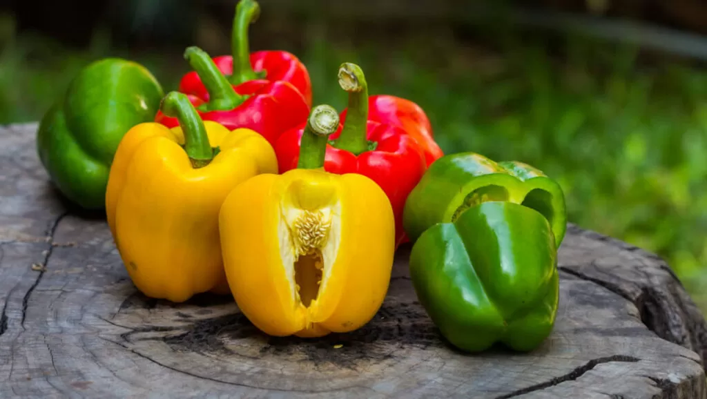 Crunchy Bell Peppers – Vibrancy On Your Plate