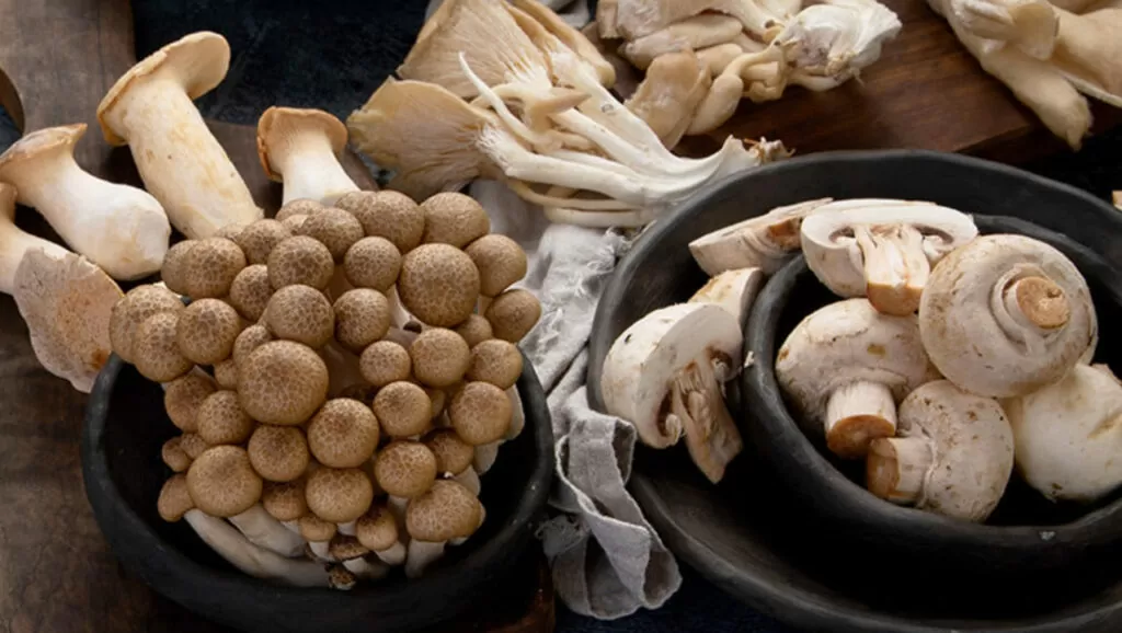Earthy Mushrooms – Culinary Magic