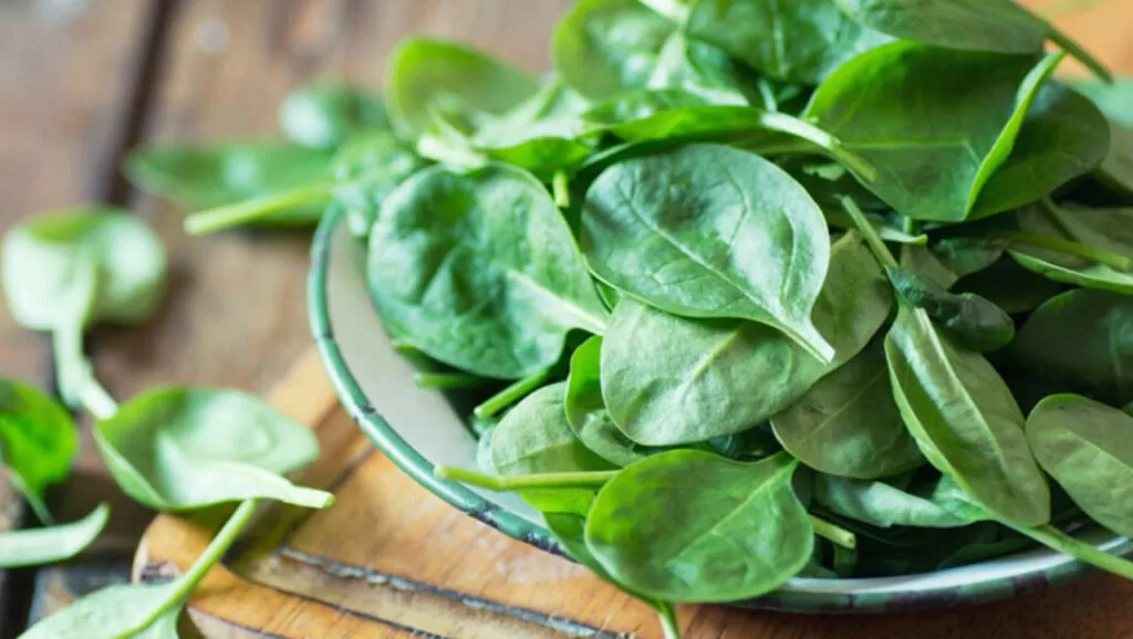 Vibrant Spinach – A Nutrient-Packed Canvas