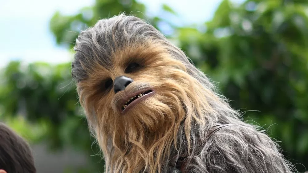 chewbacca is like super old plus other wookiee facts 1584028779