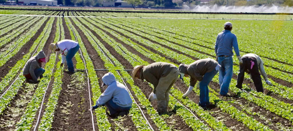 immigrant farmworkers