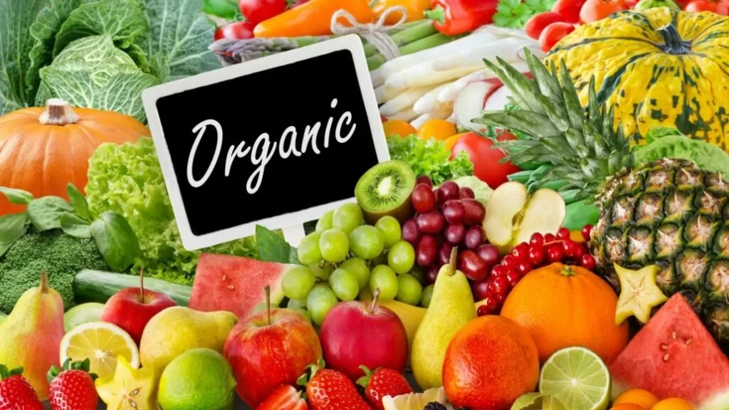 organic food 1030x579 1
